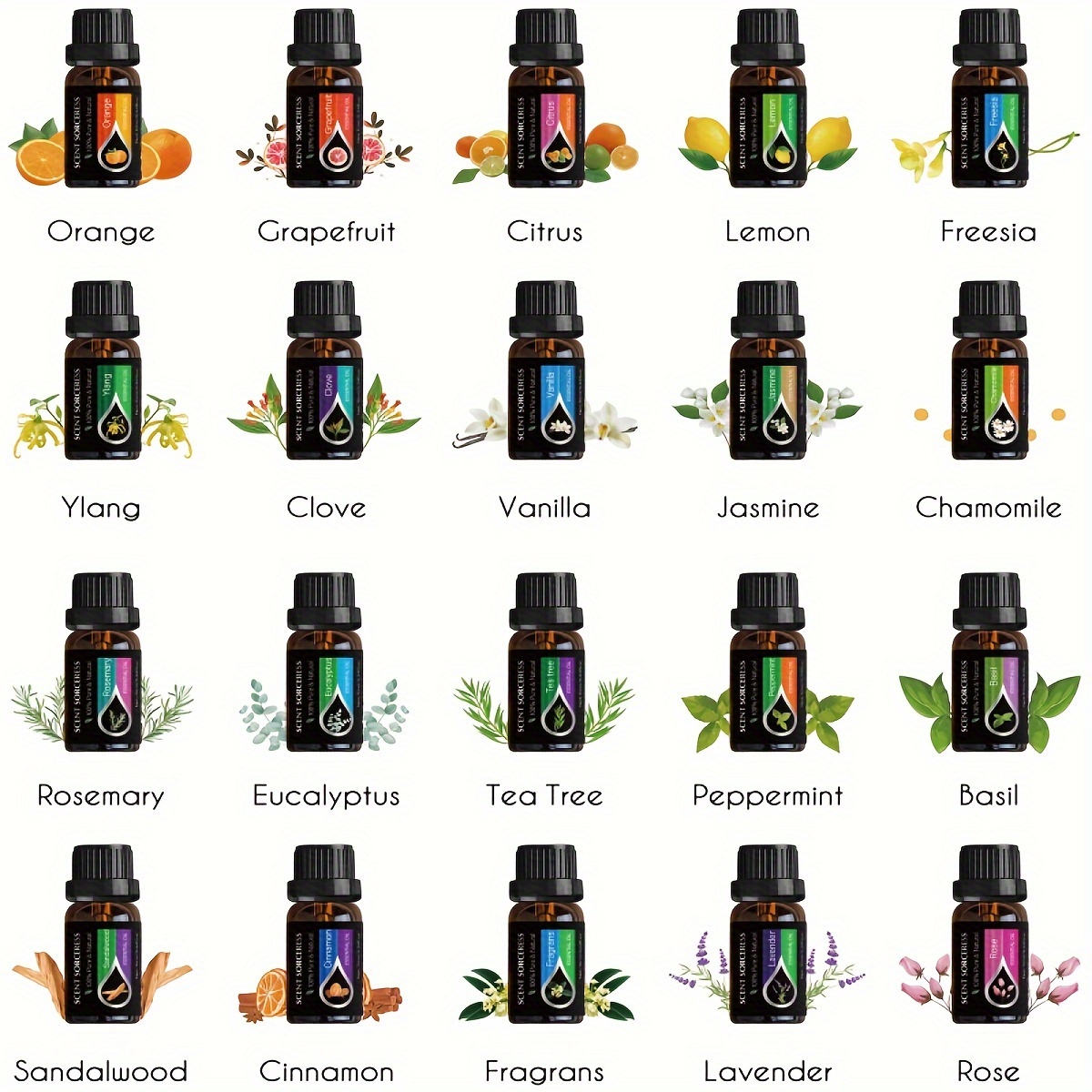 20pcs/set Essential Oil Set La - Spa Wellness Locations 评论和价格