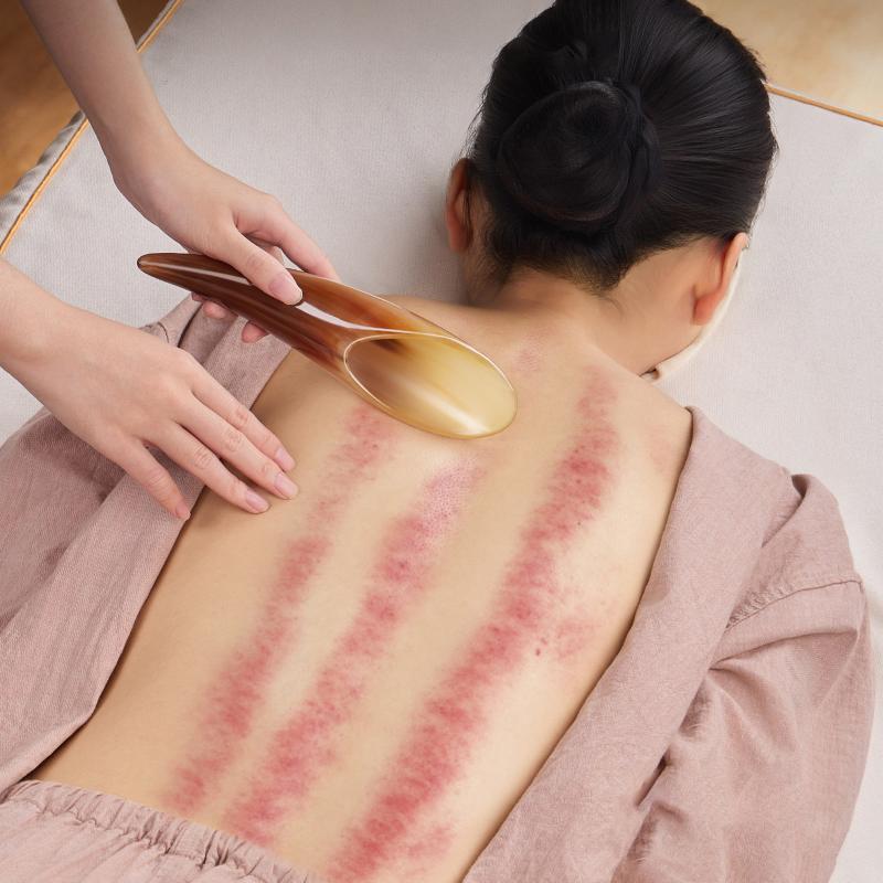 Natural Buffalo Horn Gua Sha M - Spa Y Wellness 评论和价格